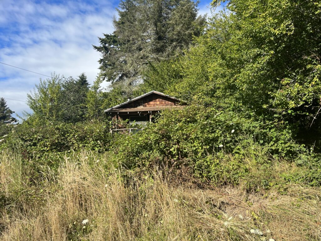 Homesteading photo